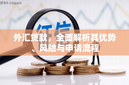 成都外汇贷款，全面解析其优势、风险与申请流程