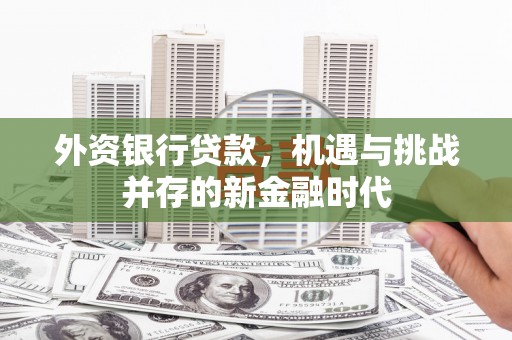 成都外资银行贷款，机遇与挑战并存的新金融时代