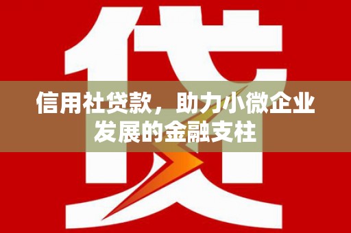 成都信用社贷款，助力小微企业发展的金融支柱