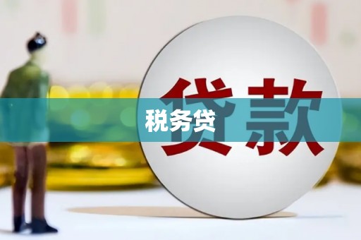 成都税务贷