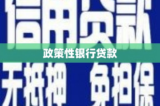 成都政策性银行贷款