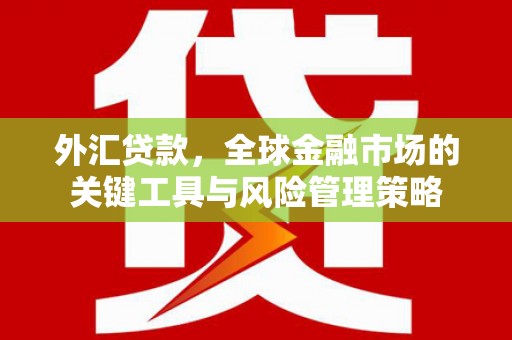 成都外汇贷款，全球金融市场的关键工具与风险管理策略