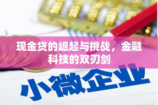 成都现金贷的崛起与挑战，金融科技的双刃剑