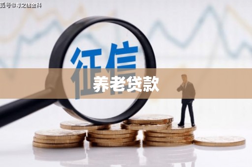 成都养老贷款