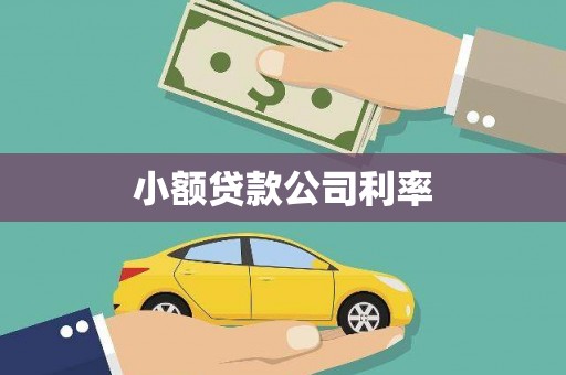 成都小额贷款公司利率