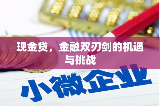成都现金贷，金融双刃剑的机遇与挑战