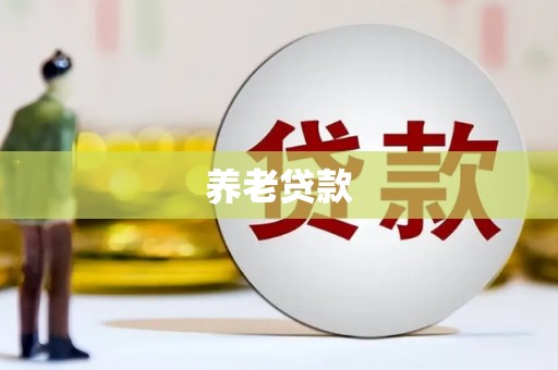 成都养老贷款