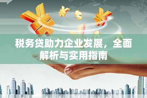 成都税务贷助力企业发展，全面解析与实用指南