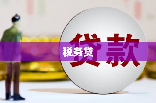 成都税务贷