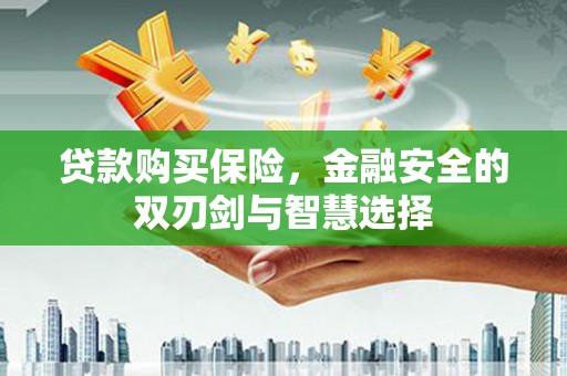 成都贷款购买保险，金融安全的双刃剑与智慧选择