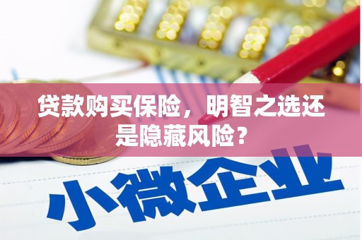 成都贷款购买保险，明智之选还是隐藏风险？
