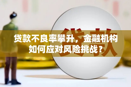 成都贷款不良率攀升，金融机构如何应对风险挑战？