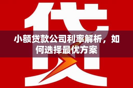 成都小额贷款公司利率解析，如何选择最优方案