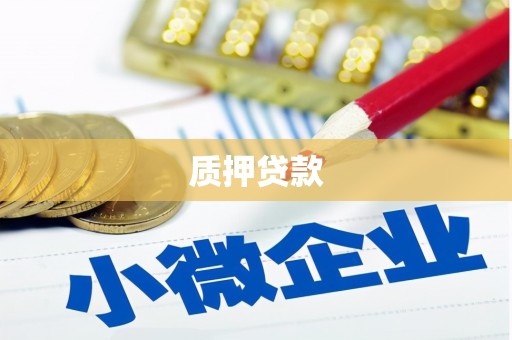 成都质押贷款