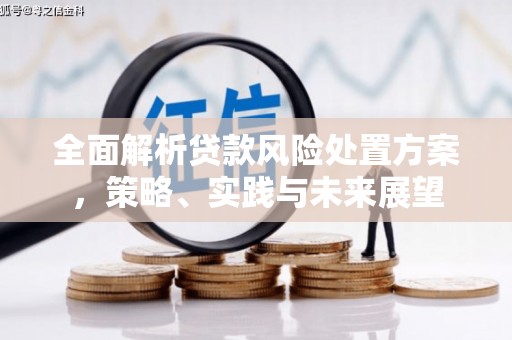 成都全面解析贷款风险处置方案，策略、实践与未来展望