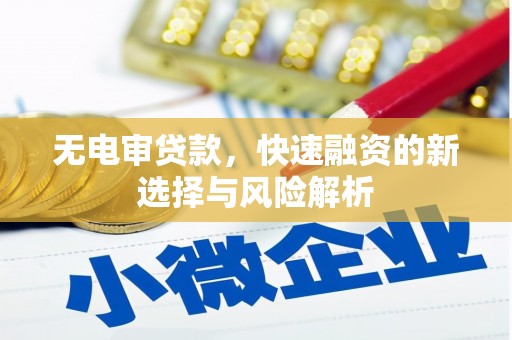 成都无电审贷款，快速融资的新选择与风险解析