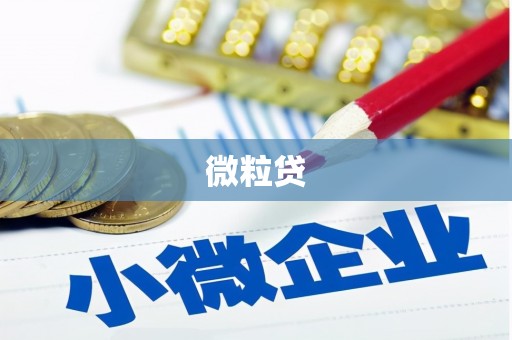 成都微粒贷