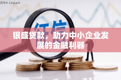 成都银盛贷款，助力中小企业发展的金融利器