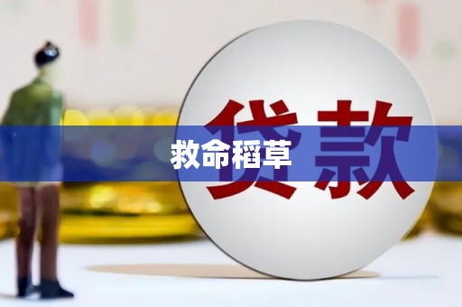 成都救命稻草
