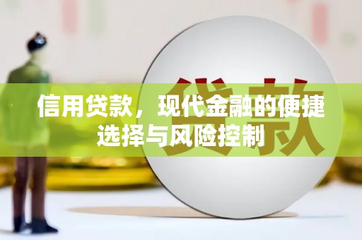 成都信用贷款，现代金融的便捷选择与风险控制