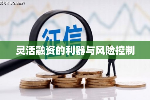 成都灵活融资的利器与风险控制