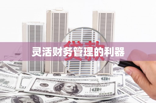 成都灵活财务管理的利器