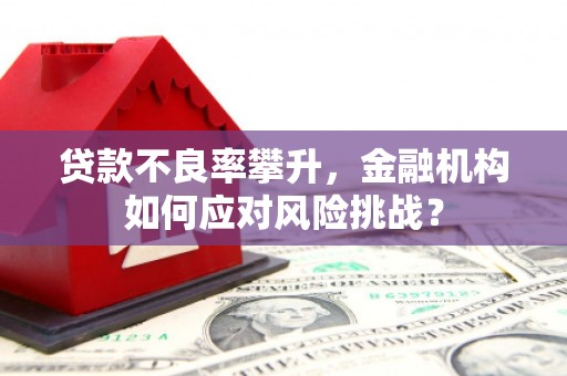 成都贷款不良率攀升，金融机构如何应对风险挑战？