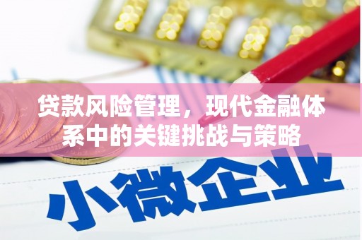 成都贷款风险管理，现代金融体系中的关键挑战与策略