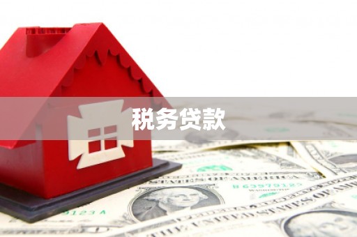 成都税务贷款