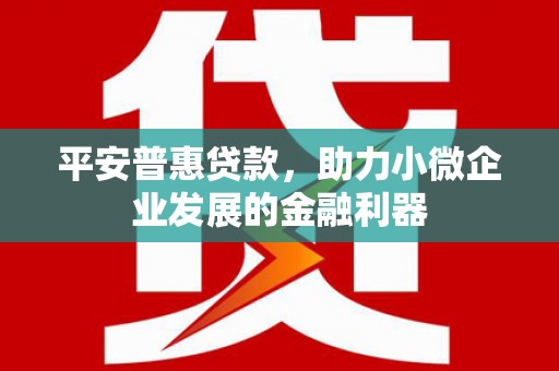 成都平安普惠贷款，助力小微企业发展的金融利器