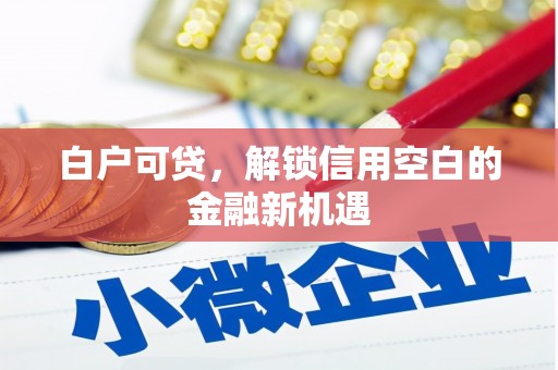 成都白户可贷，解锁信用空白的金融新机遇