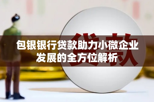 成都包银银行贷款助力小微企业发展的全方位解析