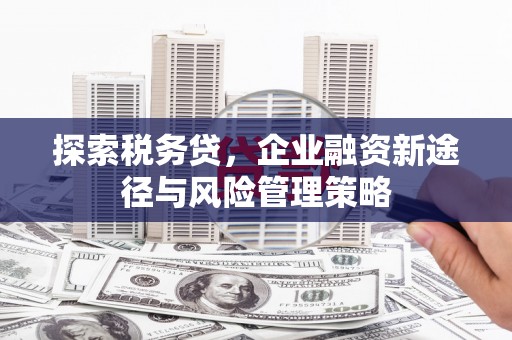 成都探索税务贷，企业融资新途径与风险管理策略
