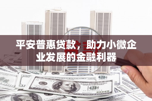 成都平安普惠贷款，助力小微企业发展的金融利器