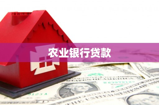 成都农业银行贷款