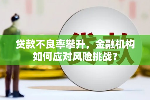 成都贷款不良率攀升，金融机构如何应对风险挑战？