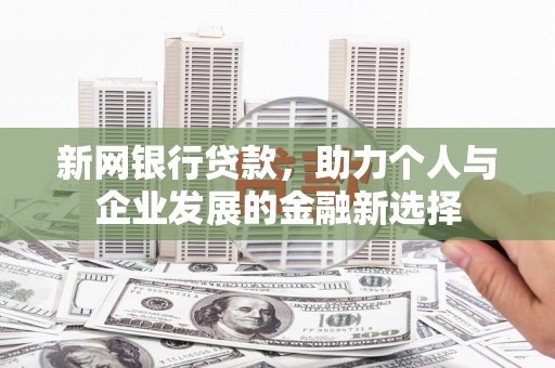 成都新网银行贷款，助力个人与企业发展的金融新选择