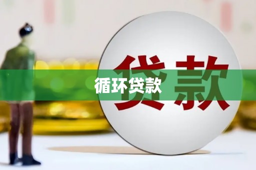成都循环贷款
