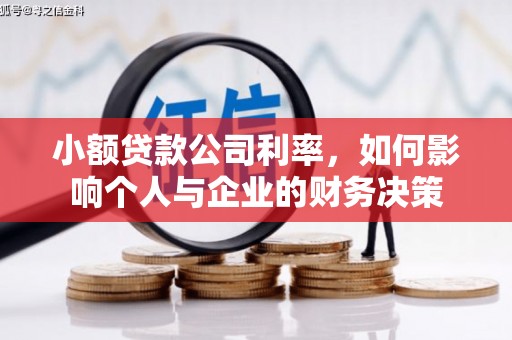 成都小额贷款公司利率，如何影响个人与企业的财务决策