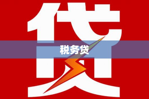 成都税务贷