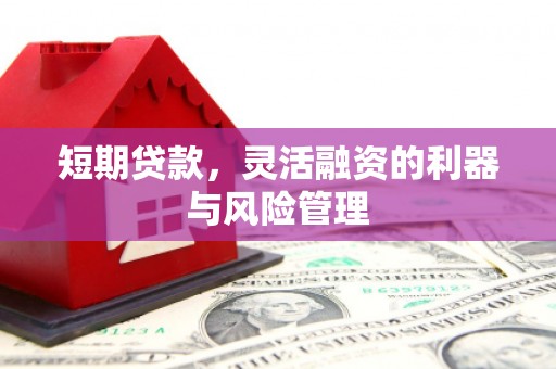 成都短期贷款，灵活融资的利器与风险管理