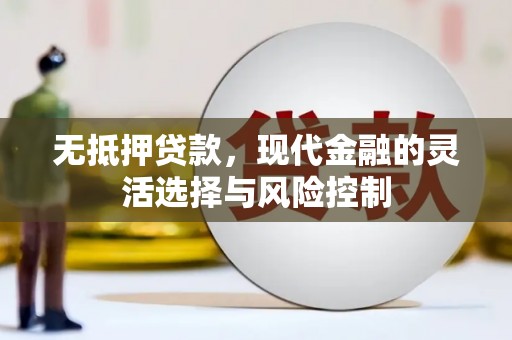 成都无抵押贷款，现代金融的灵活选择与风险控制