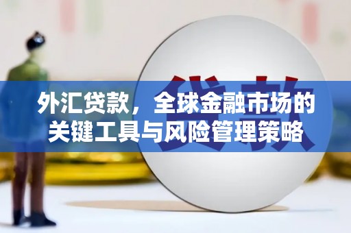 成都外汇贷款，全球金融市场的关键工具与风险管理策略