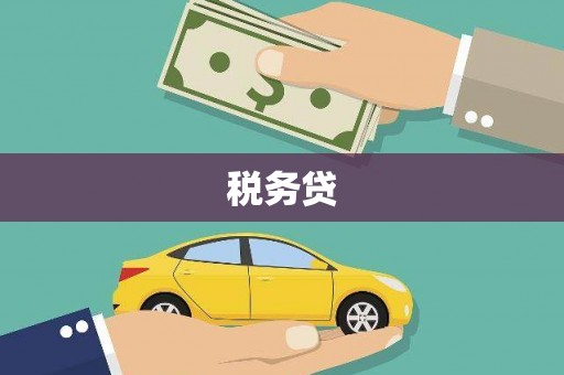 成都税务贷