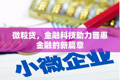 成都微粒贷，金融科技助力普惠金融的新篇章