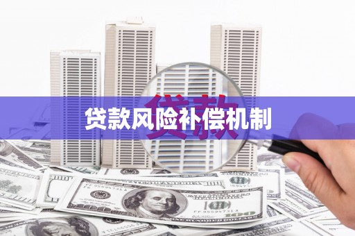 成都贷款风险补偿机制