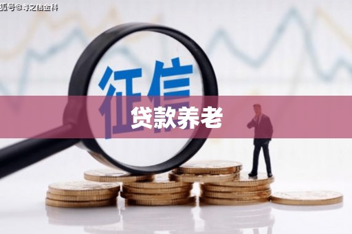 成都贷款养老