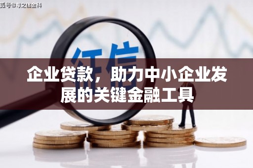 成都企业贷款，助力中小企业发展的关键金融工具