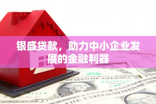 成都银盛贷款，助力中小企业发展的金融利器
