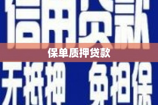 成都保单质押贷款
